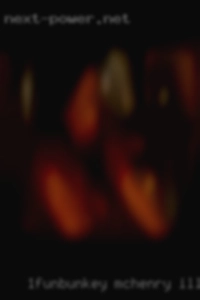 1Funbunkey Mchenry Illinois