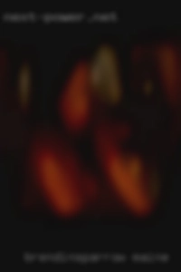 brendinSparrow Maine