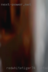 redwhitetiger74 Portales